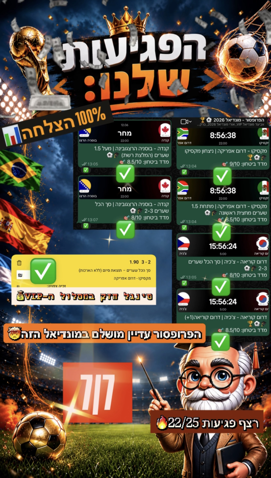 סיכום פגיעות