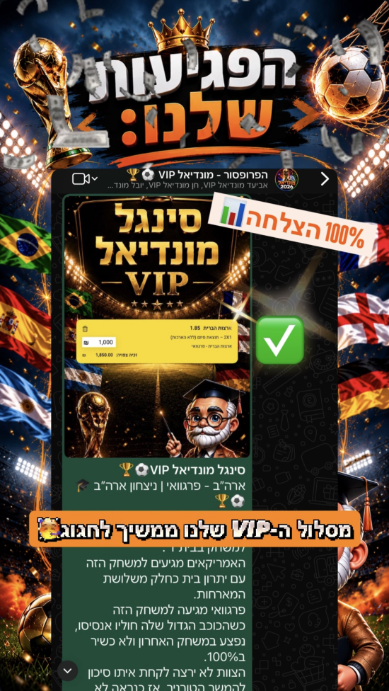 סיכום פגיעות