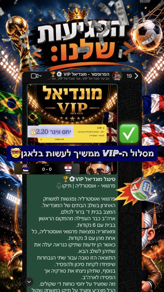 סיכום פגיעות