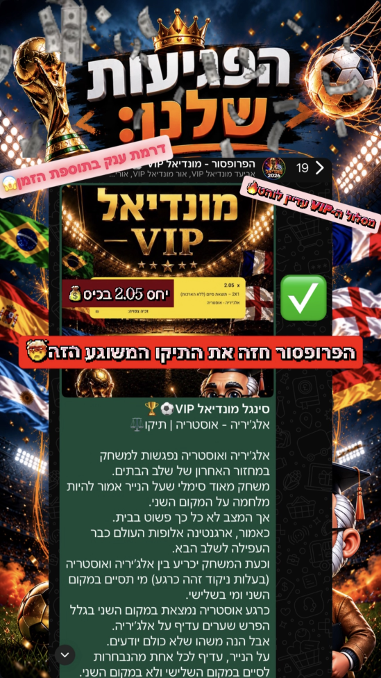 סיכום פגיעות