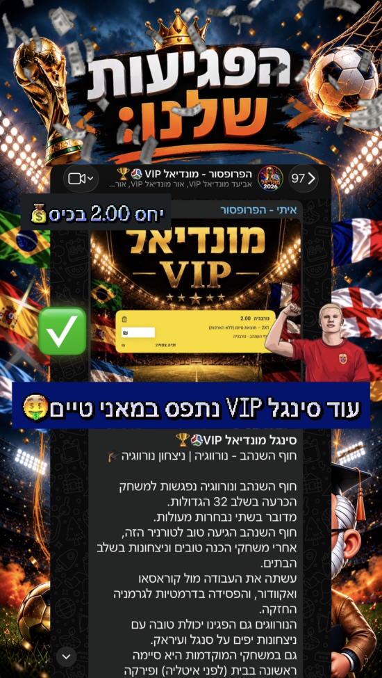 סיכום פגיעות