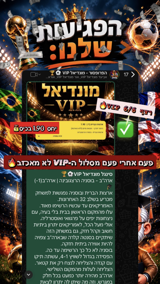סיכום פגיעות