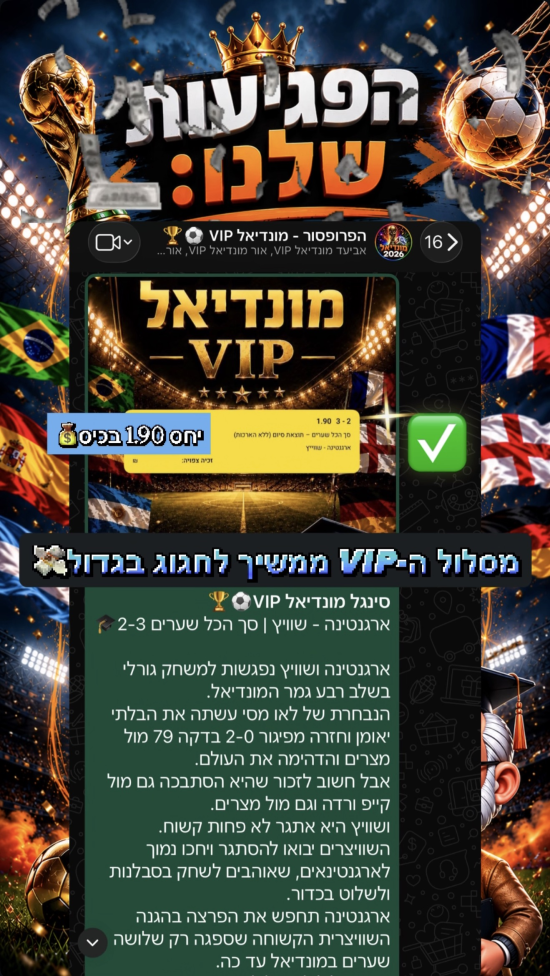 סיכום פגיעות
