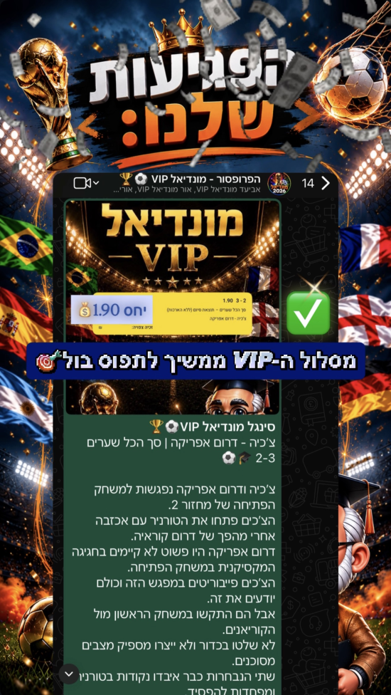 סיכום פגיעות