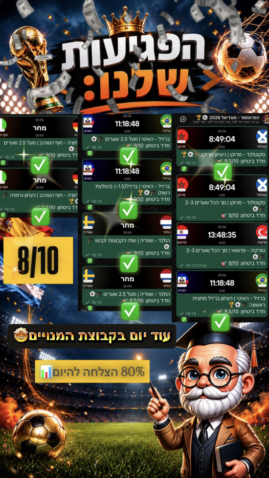 סיכום פגיעות