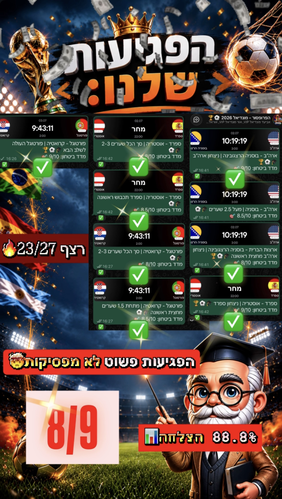 סיכום פגיעות