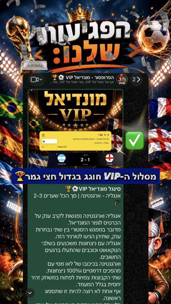 סיכום פגיעות
